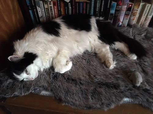 Lucifer på fällen på Annas brudkista