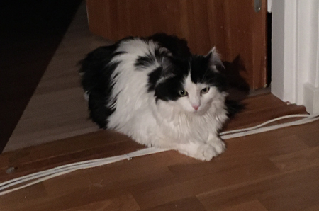 Lucifer på tröskeln