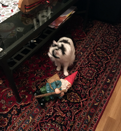 Citrus har fällt en tomte