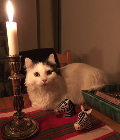 Levande ljus och Citrus