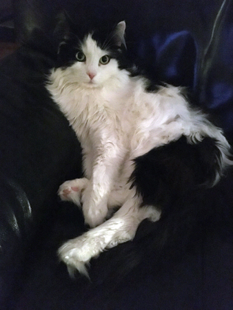 Lucifer i Annas fåtölj