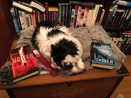 Lucifer med böckerna Skuggpojken och Svinen