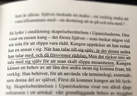 Markerat citat ur boken Hjältar Häxor Horor