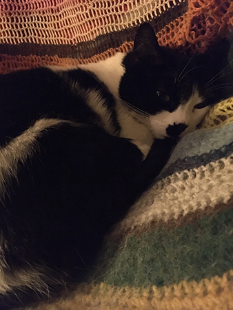 Mini i skrivbordsstolen