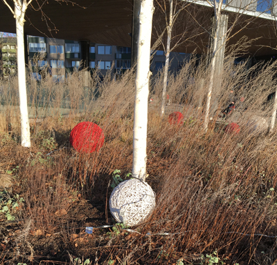 Bollar i rött och vitt på marken