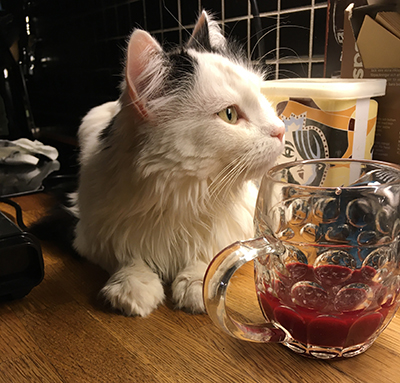 Citrus ser något intressant på kökskaklet