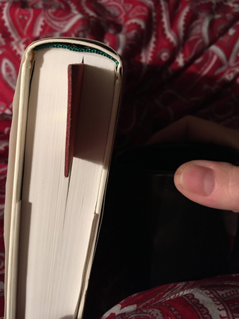 Mer än hälften av boken är läst