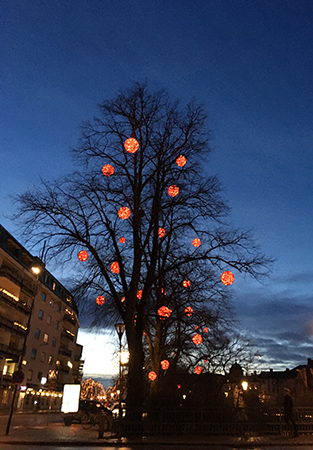 Träd vid ån med röda ljusbollar