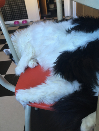 Lucifer på köksstol