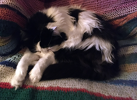 Lucifer sover i min skrivbordsstol