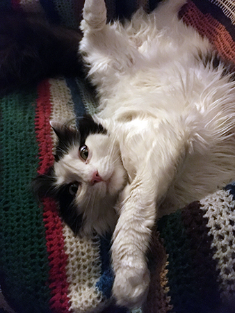 Lucifer sover med öppna ögon