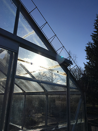 Sol lyser genom tomt växthus