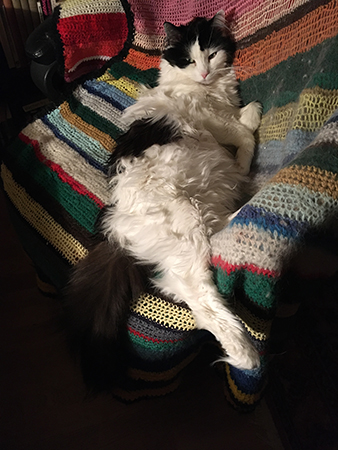 Lucifer i skrivbordsstolen