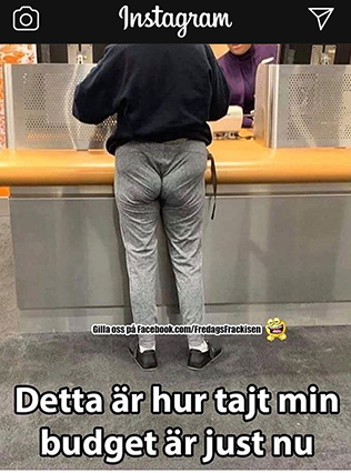 Knipstjärt