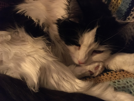 Lucifer i skrivbordsstolen