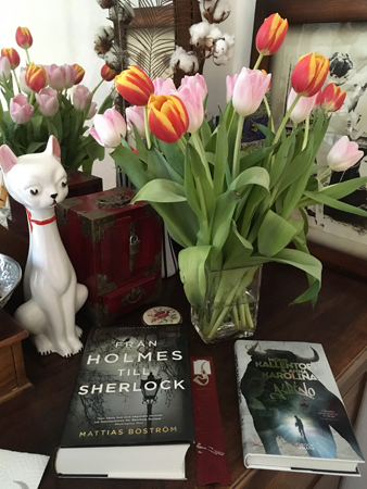 Böckerna Från Holmes till Sherlock och Albino