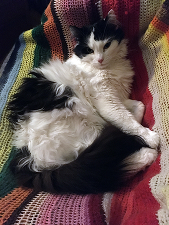 Lucifer i skrivbordsstolen vaken