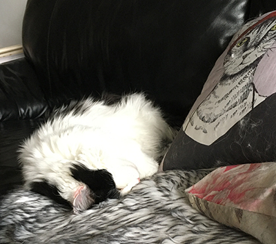 Lucifer sover i soffan