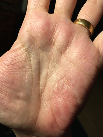 Min handflata Min handflata