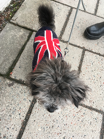 Fendys fina Union Jacktröja