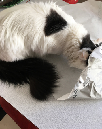 Citrus i blompappret