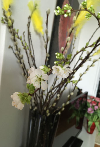 Körsbärskvistar och vide med gula fjädrar Körsbärskvistar och vide med gula fjädrar