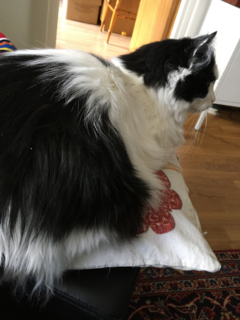 Lucifer på min fotpall