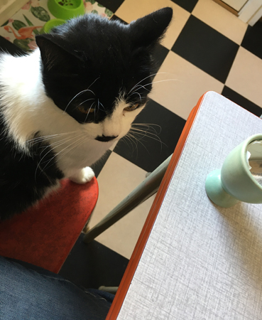 Mini vid köksbordet