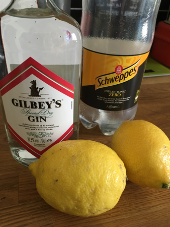 Gilbeys gin Schweppes Indian tonic och citroner