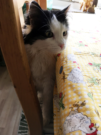 Lucifer klämmer sig upp på en stol vid påskbordet