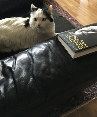 Citrus i Annas fåtölj med Björn Hellbergs memoarer