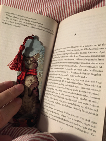 Kattbokmärke och kapitel 8