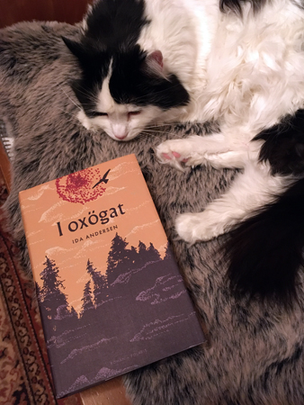 Lucifer och Ida Andersens bok I oxögat