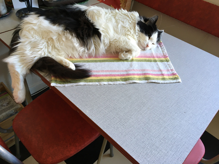 Lucifer på köksbordet