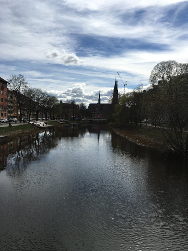 Vid Fyrisån Domkyrkan skymtar
