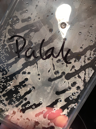 Lock med texten Palak