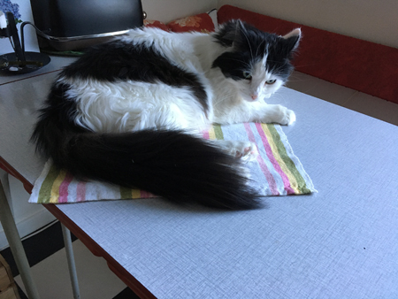 Lucifer på köksbordet Lucifer på köksbordet