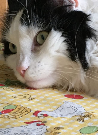 Lucifer på påskduken