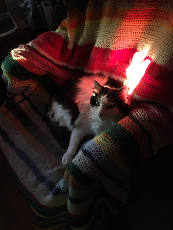 Lucifer i skrivbordsstolen