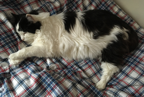 Lucifer på Es säng