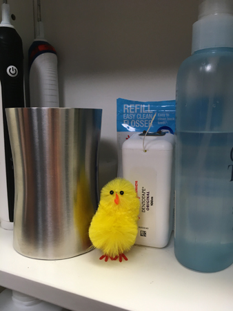 Kyckling i badrumsskåpet