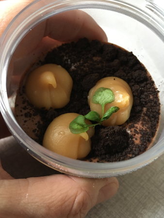 Chokladmoussen sedd ovanifrån med smörkolor krispaket 3 Klostergatan 5