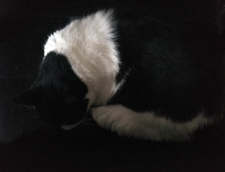 Mini i Es skrivbordsstol