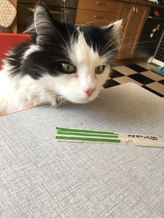 Lucifers huvud och ätpinnar på köksbordet