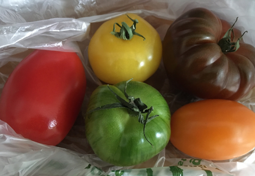 Tomater i olika färger
