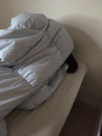 Lucifer under täcket