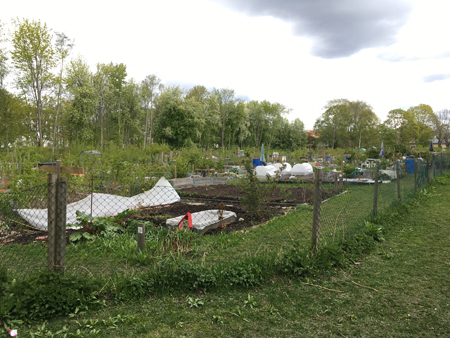 Kolonilotter Kvarngärdets odlarförening