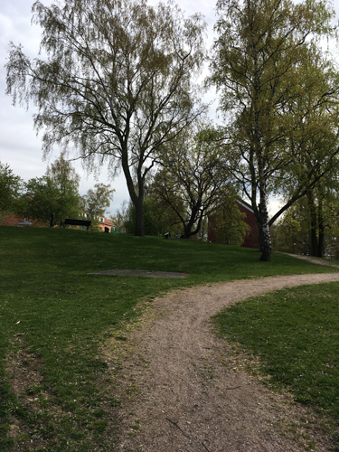 Svängande gångväg i Höganäsparken