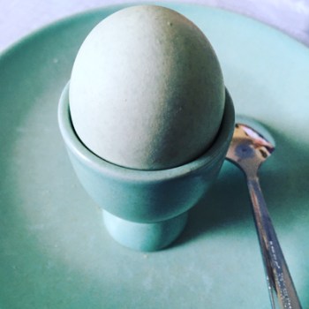 Grönt ägg som matchar servisen