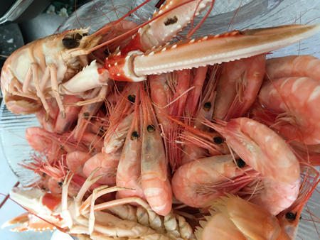 Räkor och havskräftor